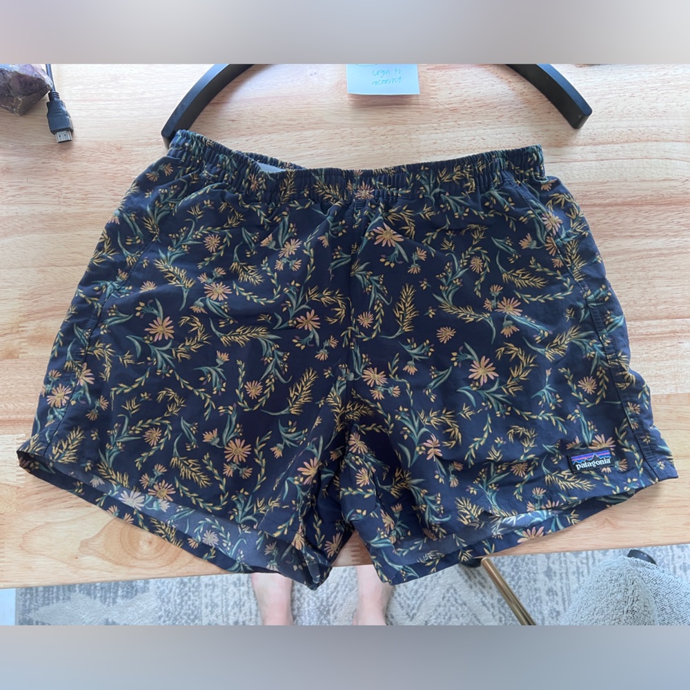 Patagonia Baggie Shorts